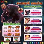 เช็กชี่บาคาร่า666